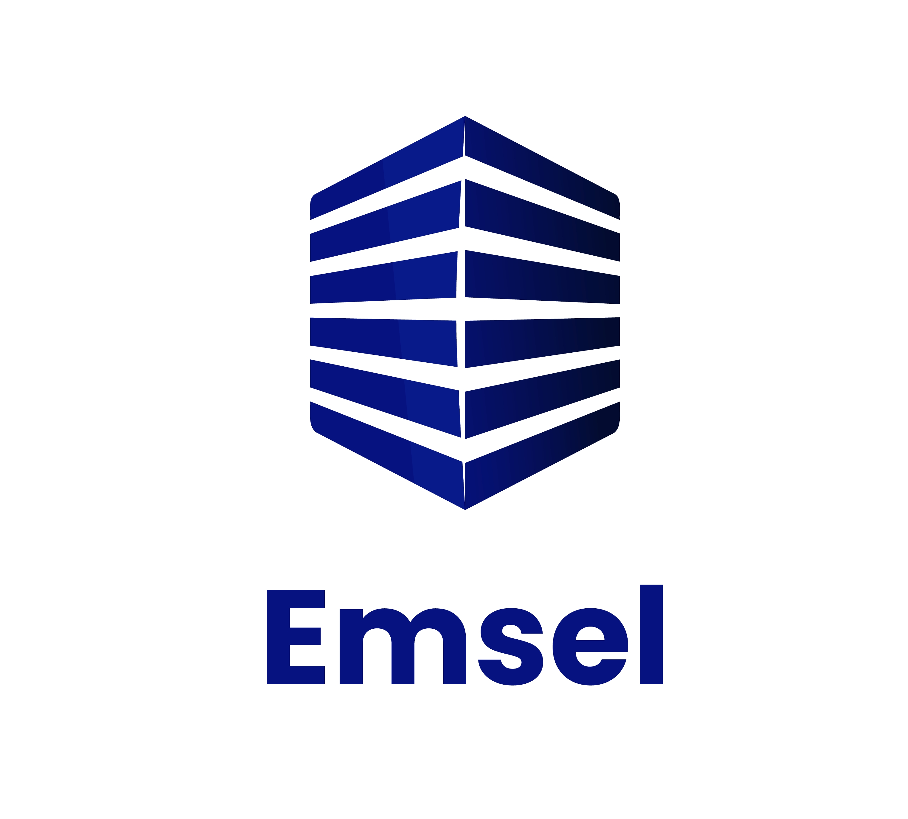 Emsel ICT Consult Logo